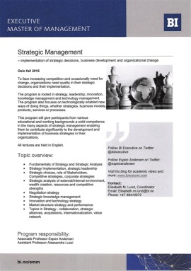 Flyer Strategic Management